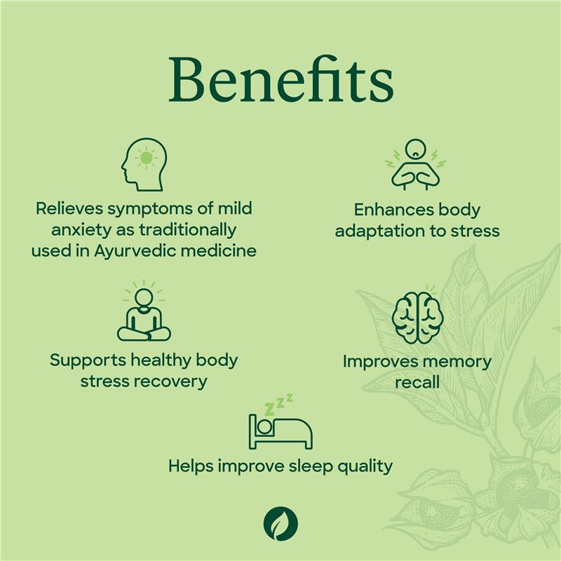 Thompsons Ashwagandha Sustained Release 30 Capsules