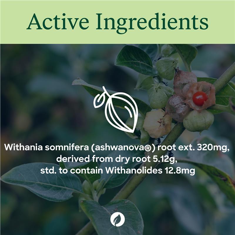 Thompsons Ashwagandha Sustained Release 30 Capsules