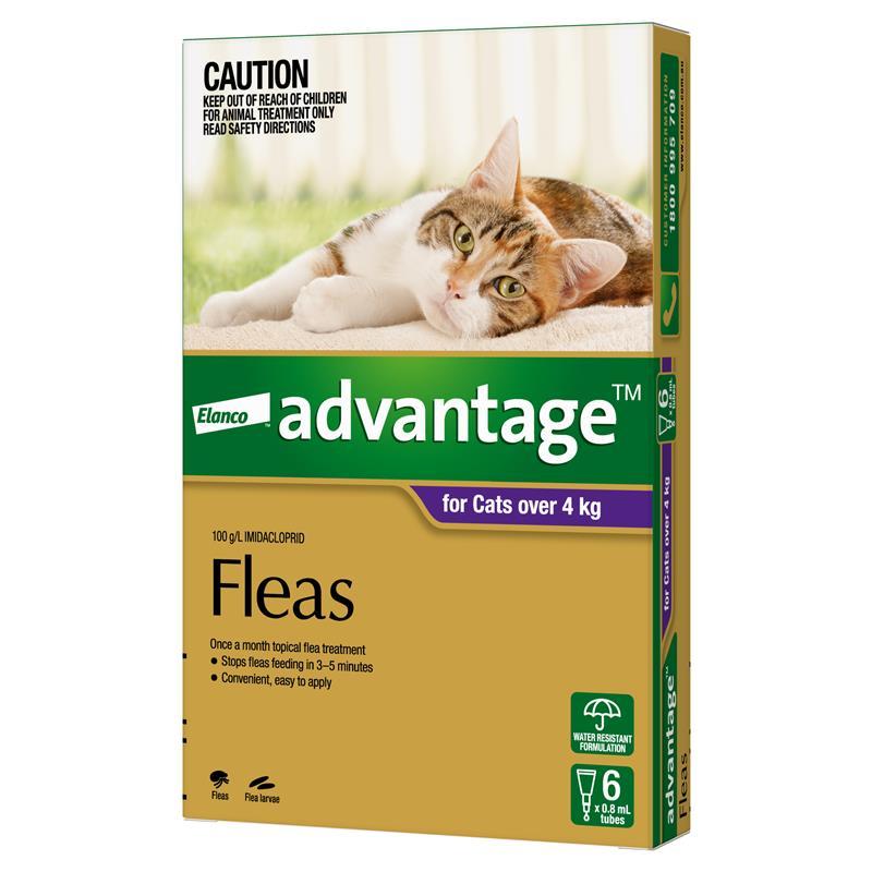 Advantage for Cats over 4kg 6 pack