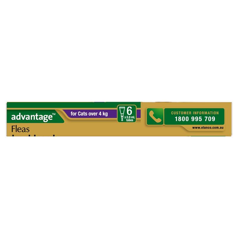 Advantage for Cats over 4kg 6 pack