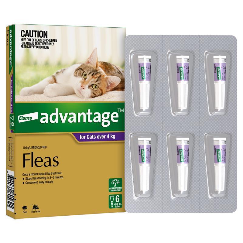 Advantage for Cats over 4kg 6 pack