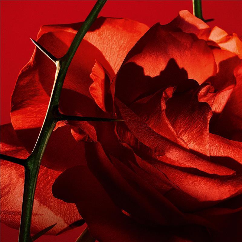 Cacharel Amor Amor Eau de Toilette 30ml