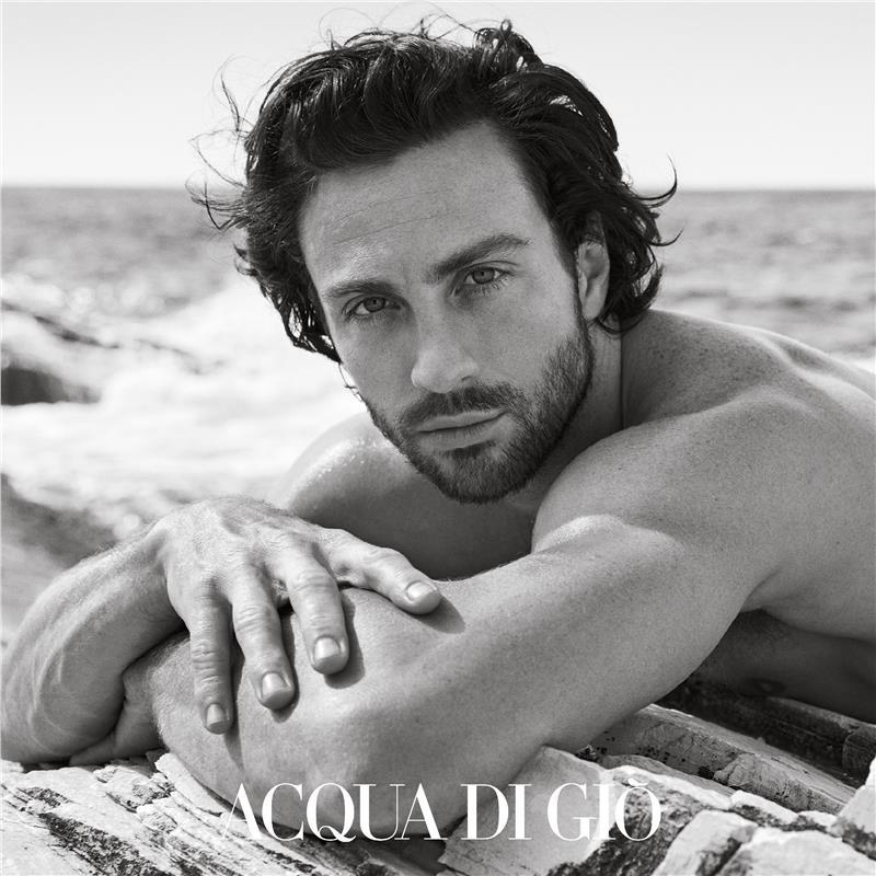 Giorgio Armani Acqua Di Gio For Men Eau de Toilette 100ml