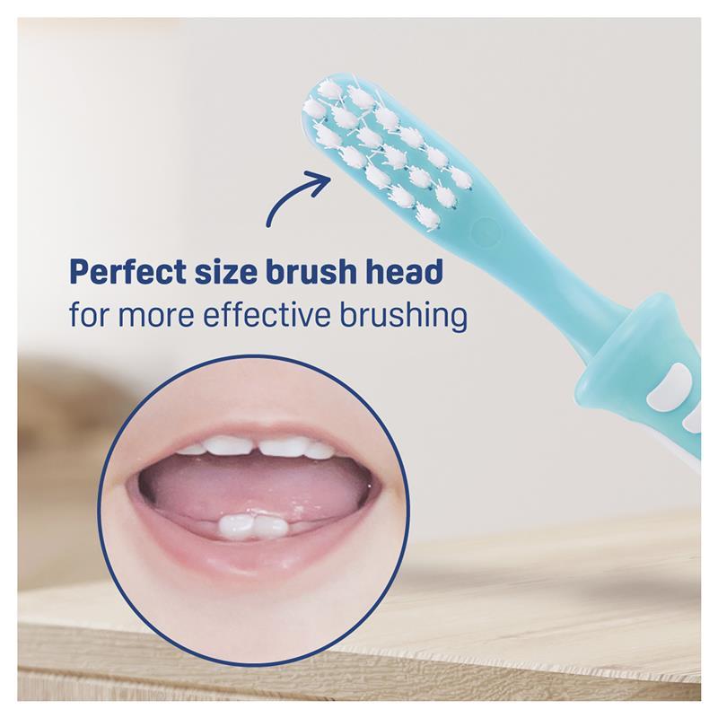 Pigeon Training Toothbrush Step 3