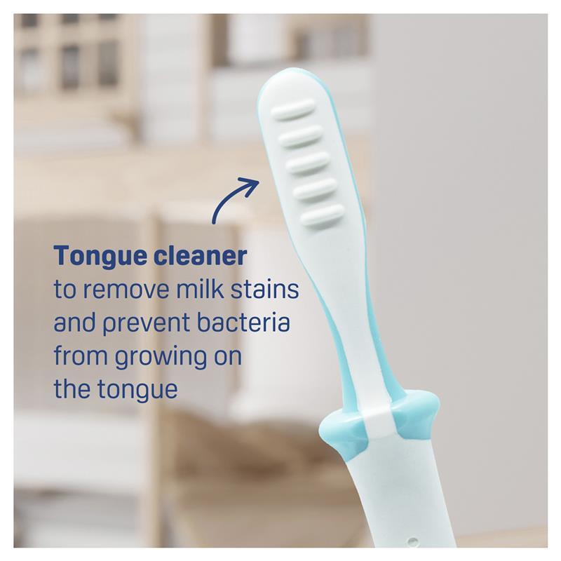 Pigeon Training Toothbrush Step 3