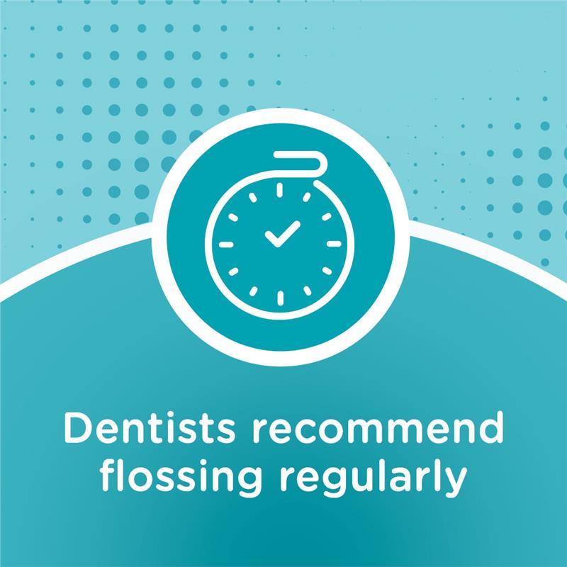 Reach Access Flosser Refill 28 Heads