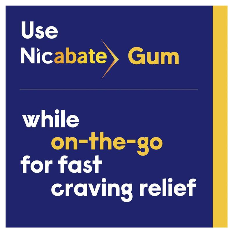 Nicabate Extra Fresh Mint Gum Quit Smoking 4mg 30 pieces