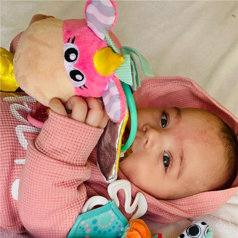 Playgro Unicorn Activity Rattle