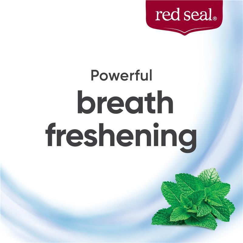 Red Seal Toothpaste Strong Mint 100g