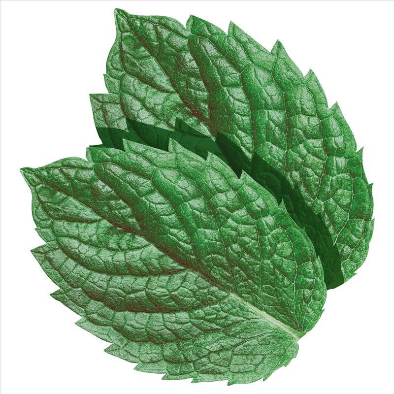 Extra Spearmint Envelope 3pk